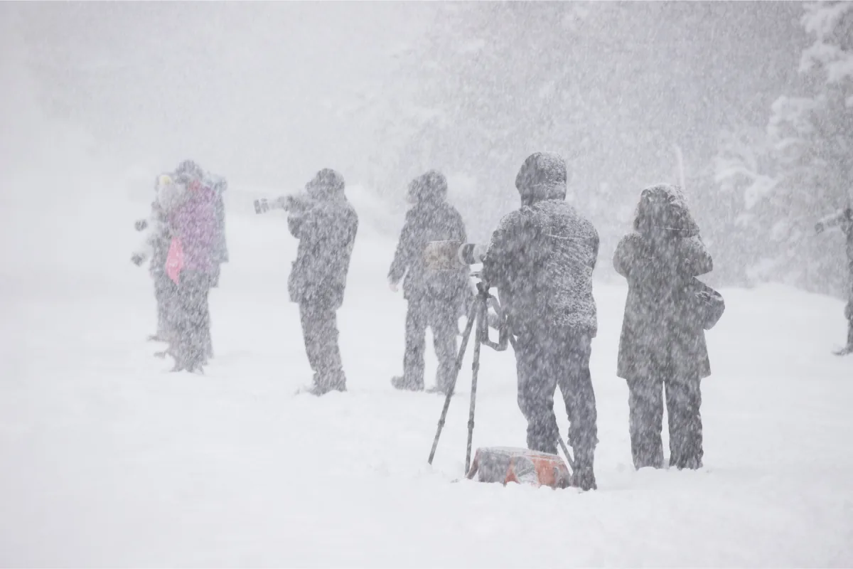 Heavy Snow and 60 Mph Wind Gusts Are Forecast for Glacier National Park in Montana, Creating Hazardous Backcountry Travel Conditions